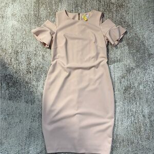 Calvin Klein Blush Pink Midi Dress with Ruffle Sleeves